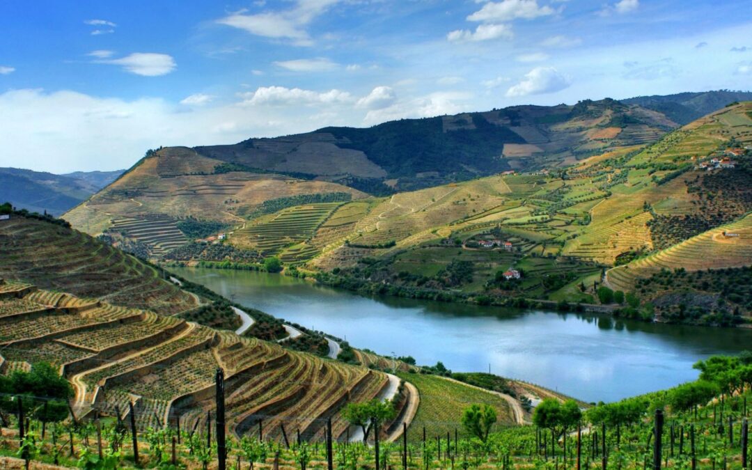 Início dos trabalhos do PAIAC Douro