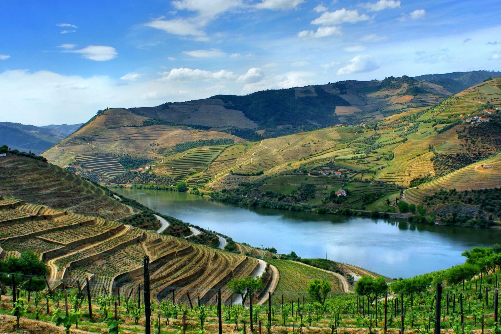 Início dos trabalhos do PAIAC Douro