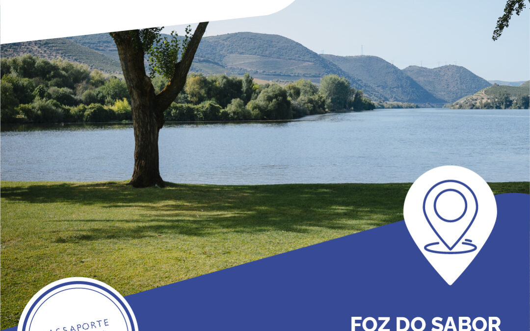 Foz do Sabor – Torre de Moncorvo