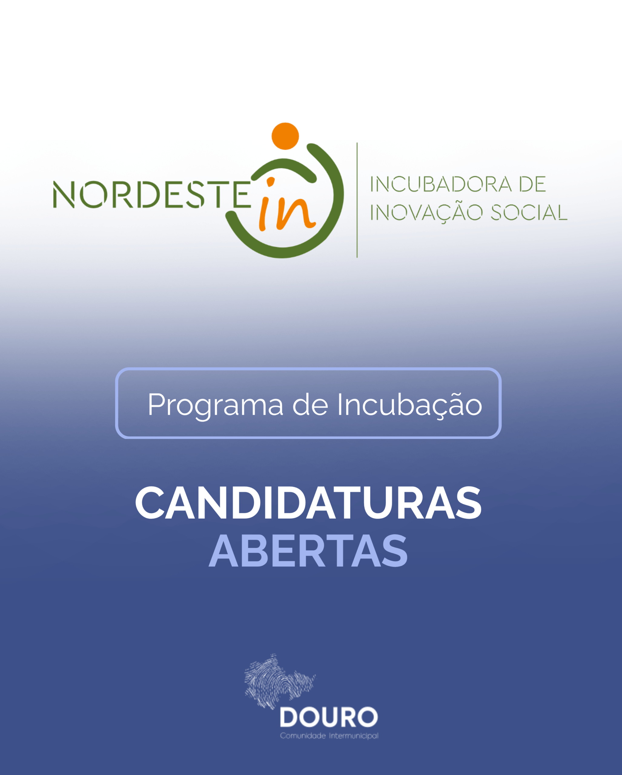NORDESTE in | Programa de Incubação